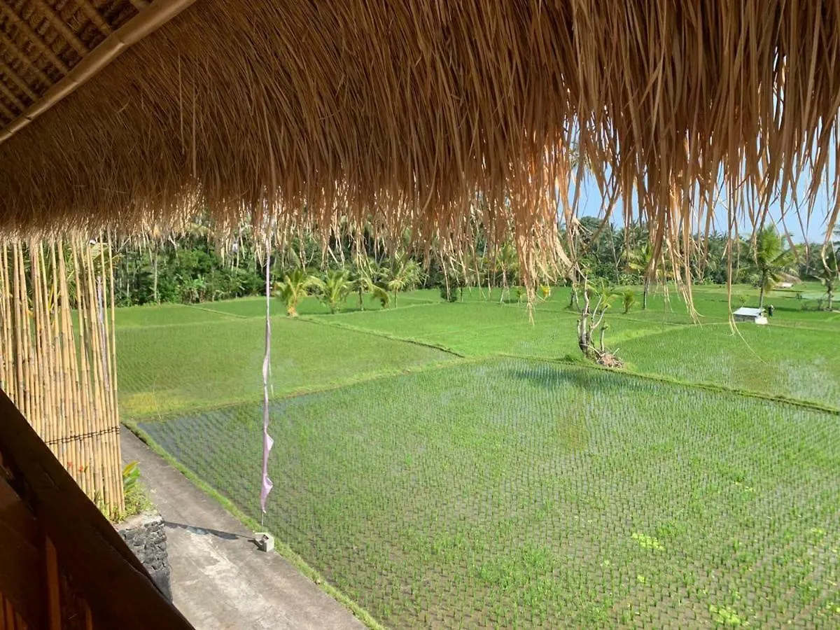 Kanaya Bungalow Hotel Ubud  Indonesia