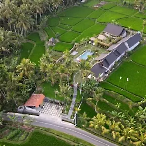Coconut Ubud (Bali)
